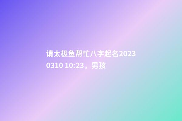 请太极鱼帮忙八字起名2023.03.10 10:23，男孩